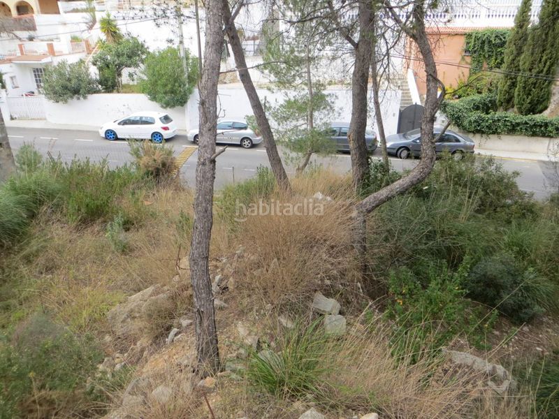Foto 645b55ca-ce47-4a4e-807b-c22a8da4808c. Finca rústica a calle goya 69 a Mas Trader-Corral d´En Tort-Corral d´En Cona Cubelles