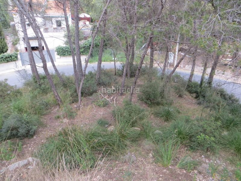 Foto 7caca7d2-56bb-4224-97f8-729a226af335. Finca rústica a calle goya 69 a Mas Trader-Corral d´En Tort-Corral d´En Cona Cubelles