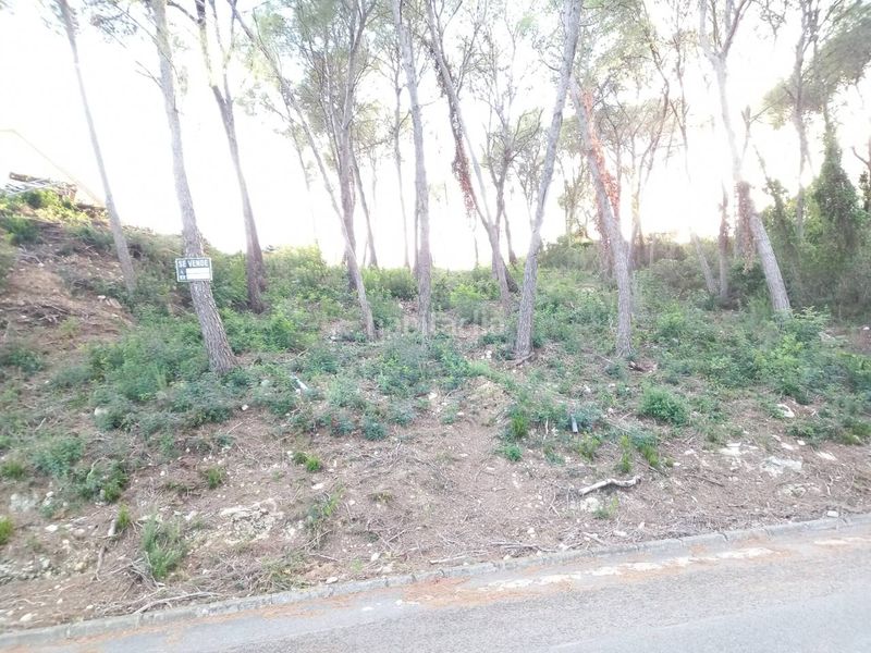 Foto 437307d6-257b-4e07-adbe-e79197835651. Finca rústica a calle joan miró 61 a Mas Trader-Corral d´En Tort-Corral d´En Cona Cubelles