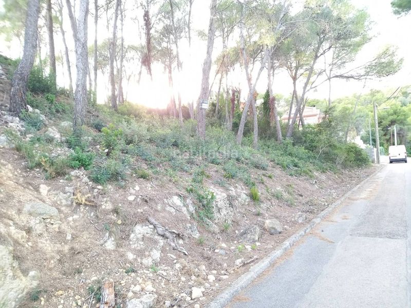 Foto d66fe6d1-cfca-4549-bb32-2b615a69fc30. Finca rústica a calle joan miró 61 a Mas Trader-Corral d´En Tort-Corral d´En Cona Cubelles