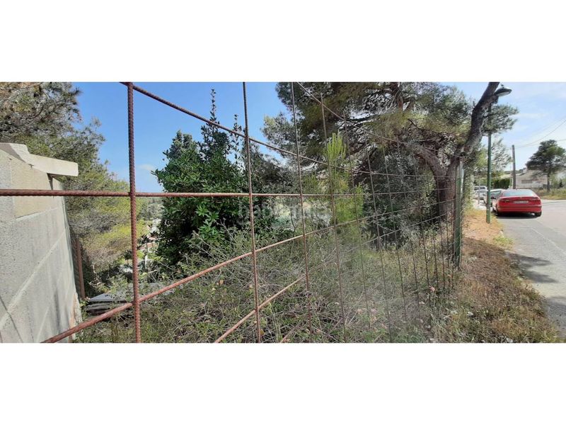 Foto 191a7a51-cb1a-4df3-8db5-ae864e42be06. Finca rústica a calle begonia 59 a Mas Trader-Corral d´En Tort-Corral d´En Cona Cubelles