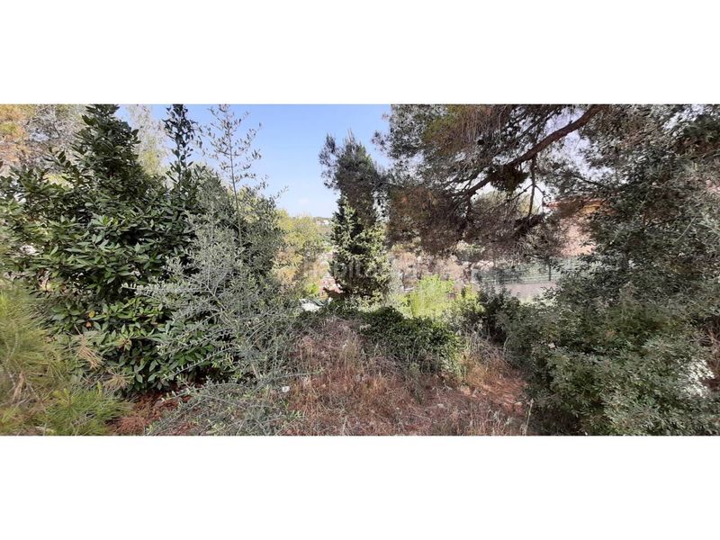 Foto d80fd684-817f-4689-b88f-34b494f124f4. Finca rústica a calle begonia 59 a Mas Trader-Corral d´En Tort-Corral d´En Cona Cubelles