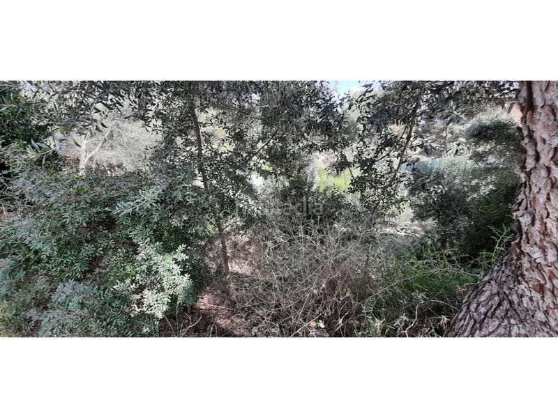 Foto f6f95fed-2c5f-4866-89cf-85d18844ac01. Finca rústica a calle begonia 59 a Mas Trader-Corral d´En Tort-Corral d´En Cona Cubelles