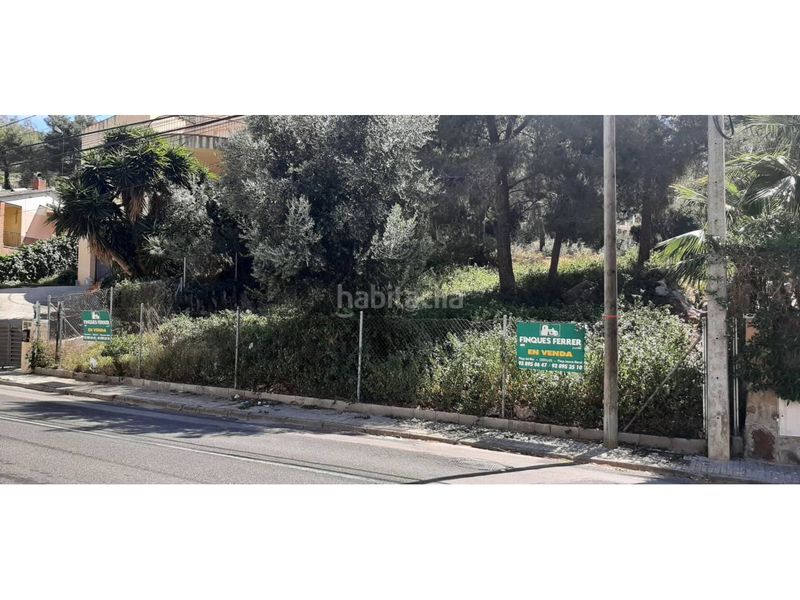 Foto 5d2222fb-f3b9-4b67-90a2-7b5a73505cac. Finca rústica a calle goya 28 a Mas Trader-Corral d´En Tort-Corral d´En Cona Cubelles