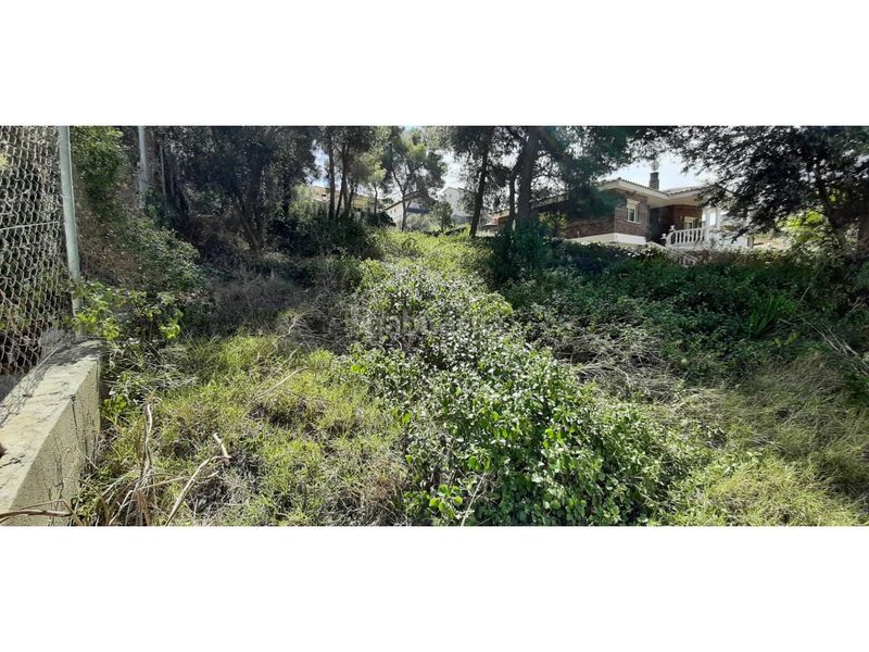 Foto cbd3a439-c956-46e8-9dd3-9a6c3ab7725f. Finca rústica a calle goya 28 a Mas Trader-Corral d´En Tort-Corral d´En Cona Cubelles