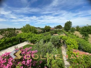 Finca rústica a Fuente el Saz de Jarama. Parcela rustica en venta en fuente el saz de jarama madrid