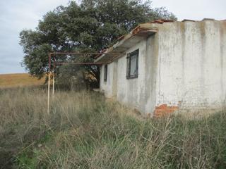 Finca rstica en Plaza del paraso 3. !!! parcela rustica con pozo en el molar !!!