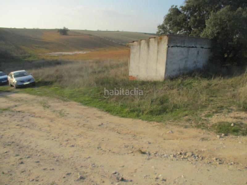 Foto 49ca2b67-bf33-4b17-9d88-c63164415081. Fondo rustico in plaza del paraíso 3 in Molar (El)