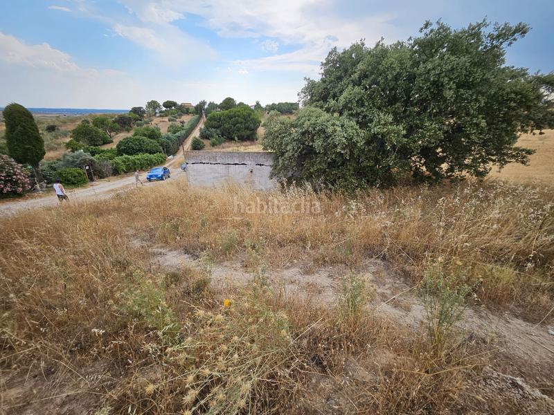 Foto 68e0ede4-449c-4a9f-8a99-88ac7ea1407d. Fondo rustico in plaza del paraíso 3 in Molar (El)