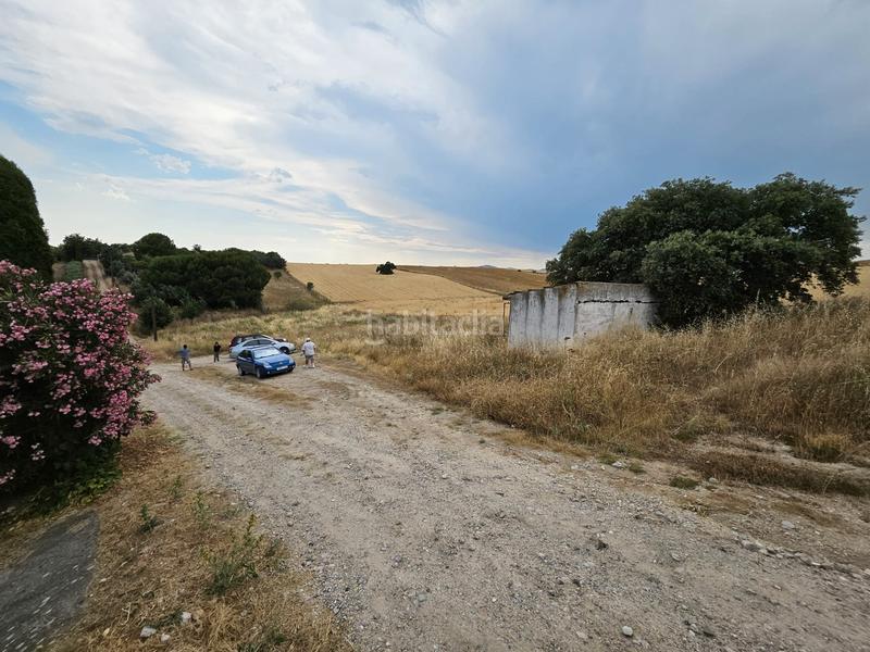 Foto db0a7fba-8589-4dd4-90c2-0c45ce59dcc9. Fondo rustico in plaza del paraíso 3 in Molar (El)