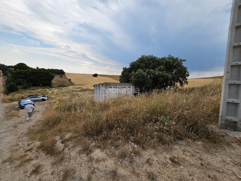 Foto fefeecfa-5c24-4fd7-a9e6-764435073318. Fondo rustico in plaza del paraíso 3 in Molar (El)