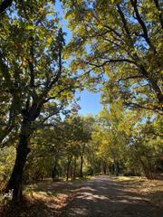Rent Flat  Calle maría cristina. Tranquilo,gas natural, trastero
