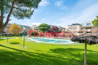 Appartement  Calle tera 1. Apartamento 1 dormitorio con terraza