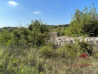Maison à Cervera del Maestre. Finca de 10.000m2 con una nave construida de 200m2