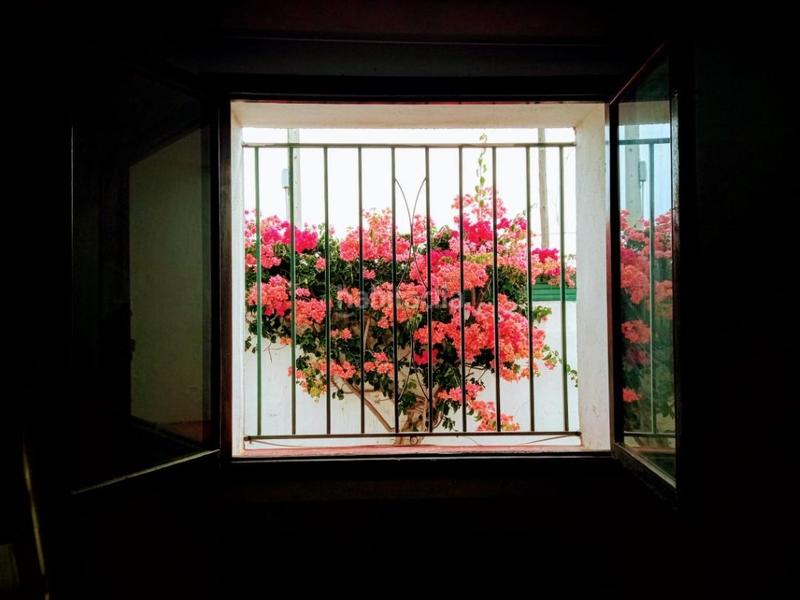 Foto 8817ced3-76f7-4480-9627-7895f6866541. Lloguer xalet amb aparcament a Papa Luna - Platja del Gurugú Benicarló