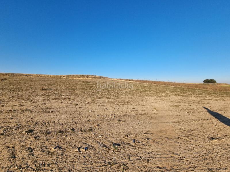 Foto 17b42c60-ad4d-4636-89c3-eebe64a44375. Finca rústica a Álamo (El)