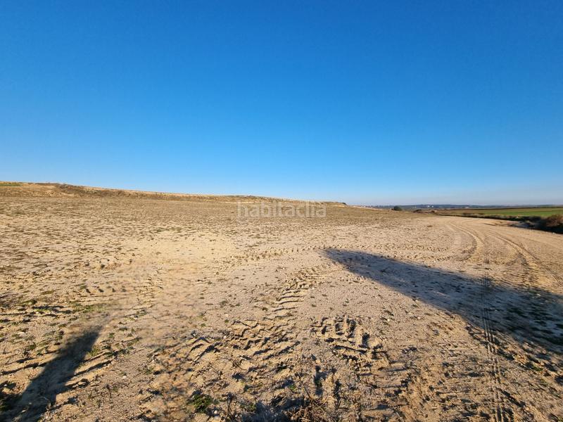 Foto 286dc0cf-b61f-4285-89f2-a2deb674aed6. Finca rústica a Álamo (El)