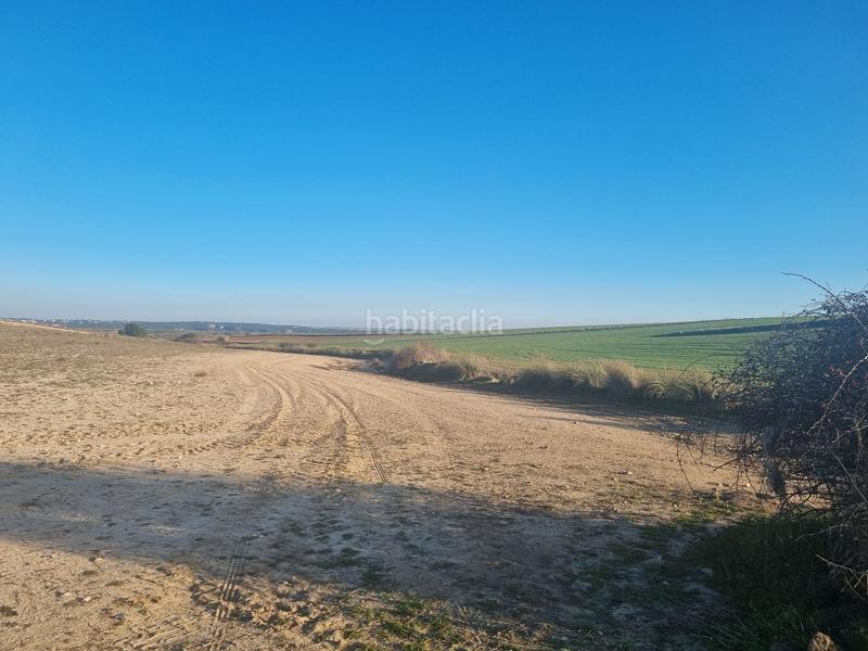 Foto 39f83a5d-aca9-48cc-b2e7-53deb8da1a77. Finca rústica a Álamo (El)