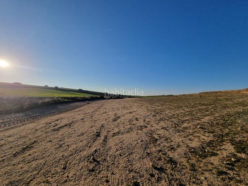 Foto 3dce3ccf-8184-41da-91b0-e5beee25930f. Finca rústica a Álamo (El)