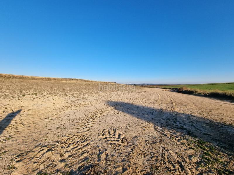 Foto 41f17bc7-17a3-4220-88b1-9503b33b8bee. Finca rústica a Álamo (El)