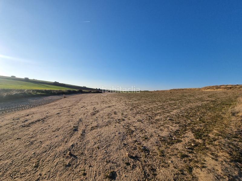 Foto 518aff13-1c32-4486-bacb-2c862e7a6ca6. Finca rústica a Álamo (El)