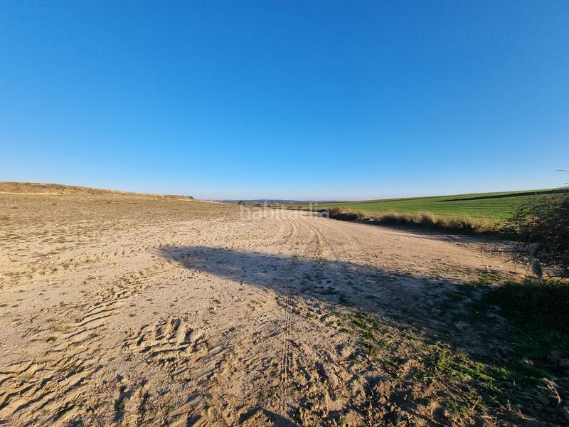 Foto 56d363cd-fc4b-4ada-8863-d48230a78bfc. Finca rústica a Álamo (El)