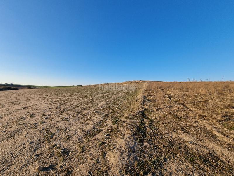 Foto 640a22f4-9541-4dc6-8dac-e24ec74bc832. Finca rústica a Álamo (El)