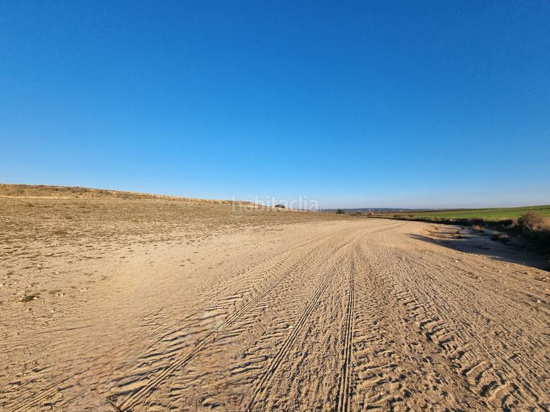 Foto 69967032-26bf-4241-84fb-d67c03b1cfc9. Finca rústica a Álamo (El)