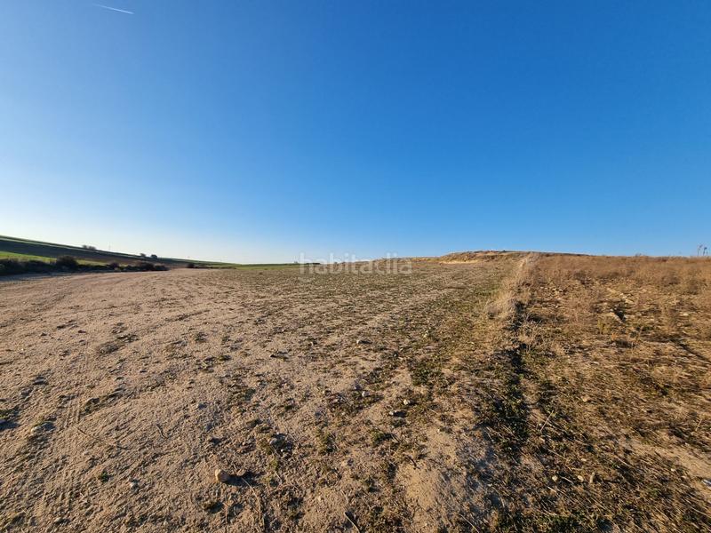 Foto 8c2c1329-4fb0-457f-a3cf-507a6a1c2f6f. Finca rústica a Álamo (El)