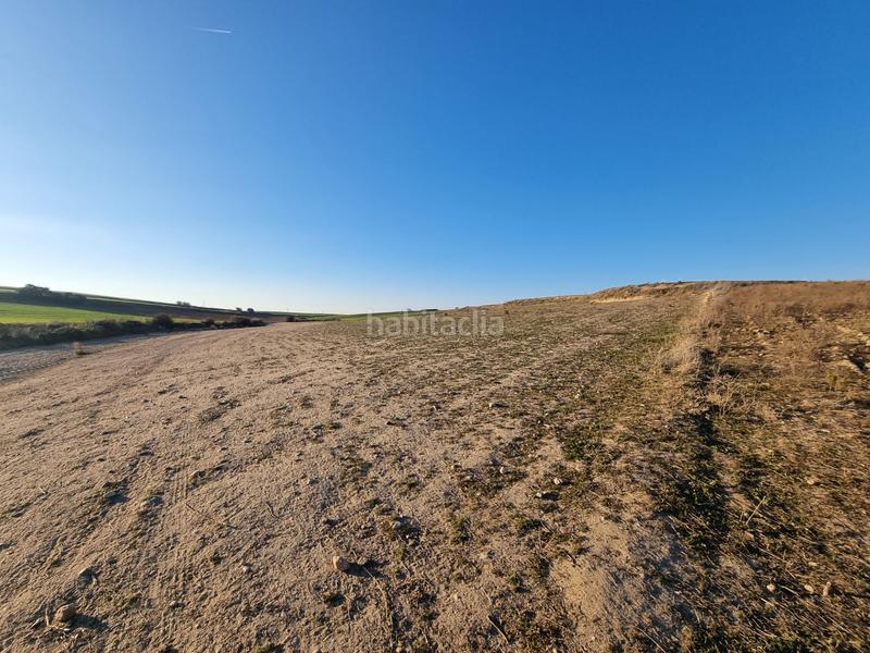 Foto b24beecd-0a3b-469f-bc7f-f0d99785ffcb. Finca rústica a Álamo (El)