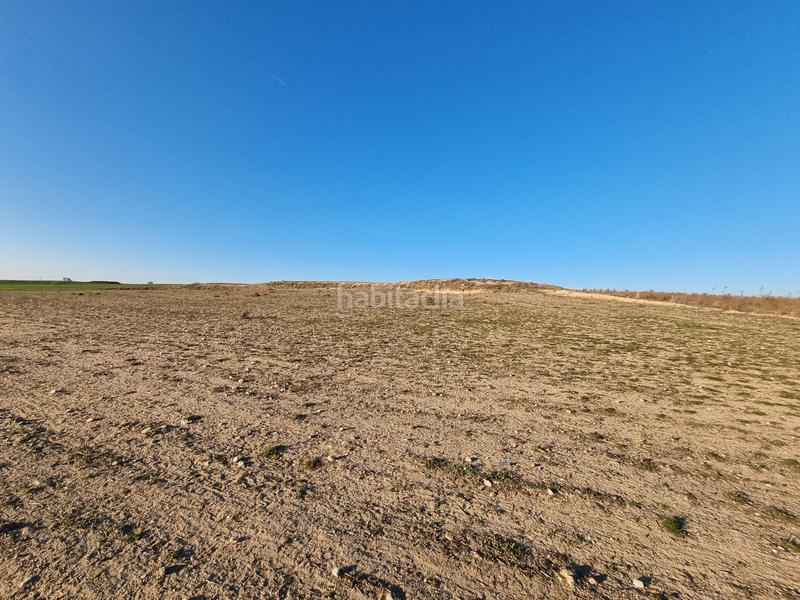 Foto bcbae06b-8fcb-4429-a8b6-2fc266d35784. Finca rústica a Álamo (El)