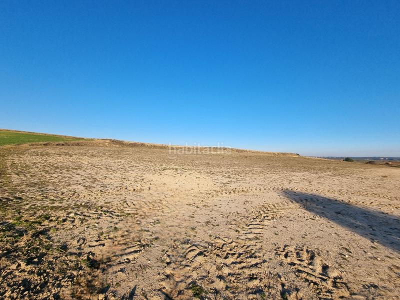 Foto ceda2353-d3ec-48e4-b509-5448e7d46f0c. Finca rústica a Álamo (El)