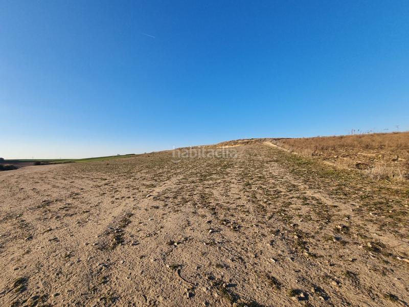 Foto d7cf945f-d47d-4614-be72-4b41d5b2e677. Finca rústica a Álamo (El)