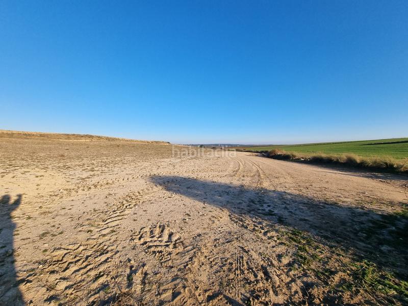 Foto d8f9ccdc-5a83-41c4-aa55-e1104c317f81. Finca rústica a Álamo (El)