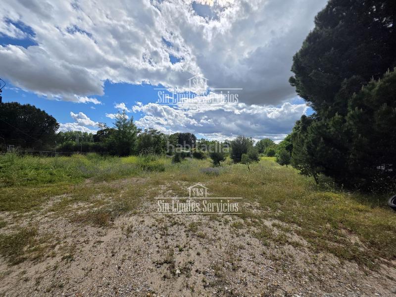 Foto a7b80a12-ce30-4f01-b929-8f620d5e62d3. Fondo rustico in cl diseminado 641 in Batres