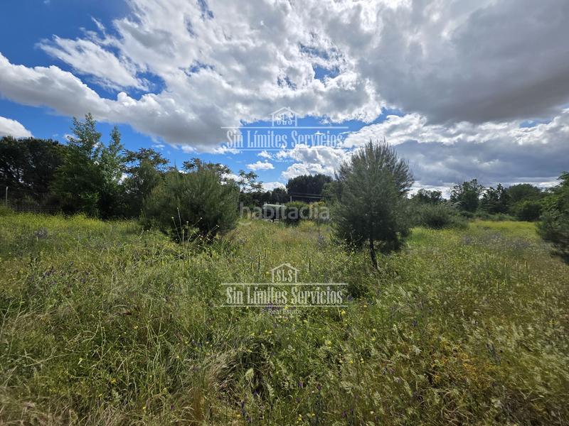 Foto dd2a5700-6537-40d1-8f4d-e612329e6f41. Fondo rustico in cl diseminado 641 in Batres