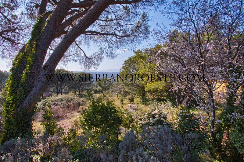 Foto 9d06f24f-e1f8-4680-82f5-bf491ebde518. Masía finca rústica de 85.800 m2. en Colonia Torrelodones