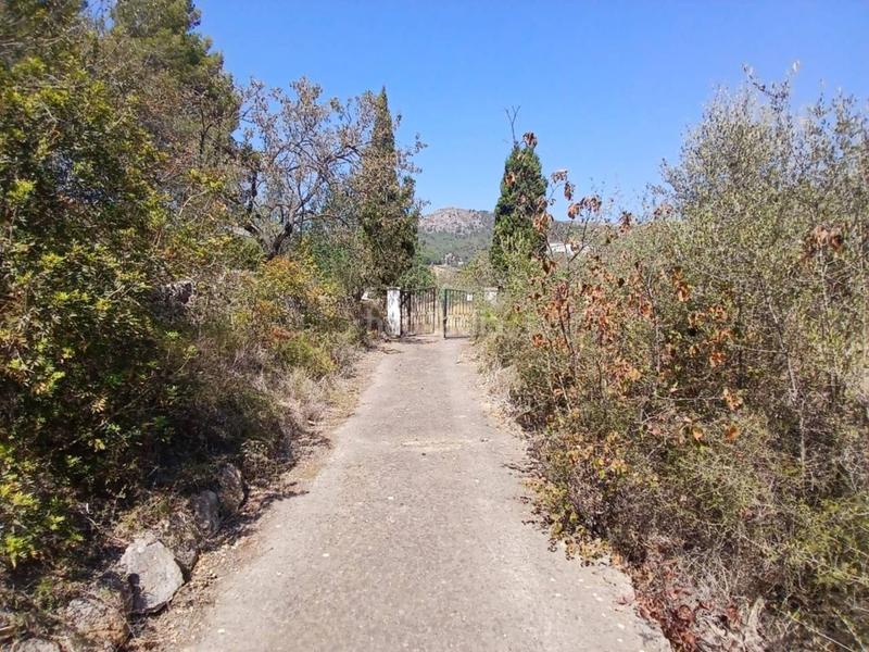 Foto c024d878-7b4a-434b-b0f6-bcb3b8ed1381. Masia a S´Arracó Andratx