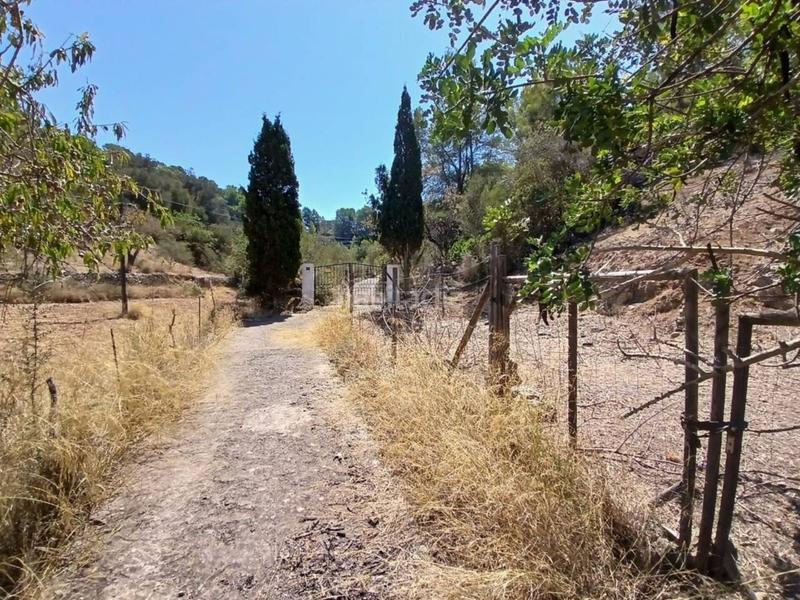 Foto cd80f663-9fa4-4fb9-9b90-fcd30c3c828a. Masia a S´Arracó Andratx