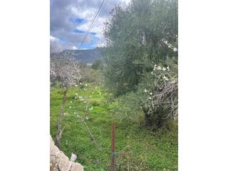 Residential Plot  Morella. Solar rustico en andratx