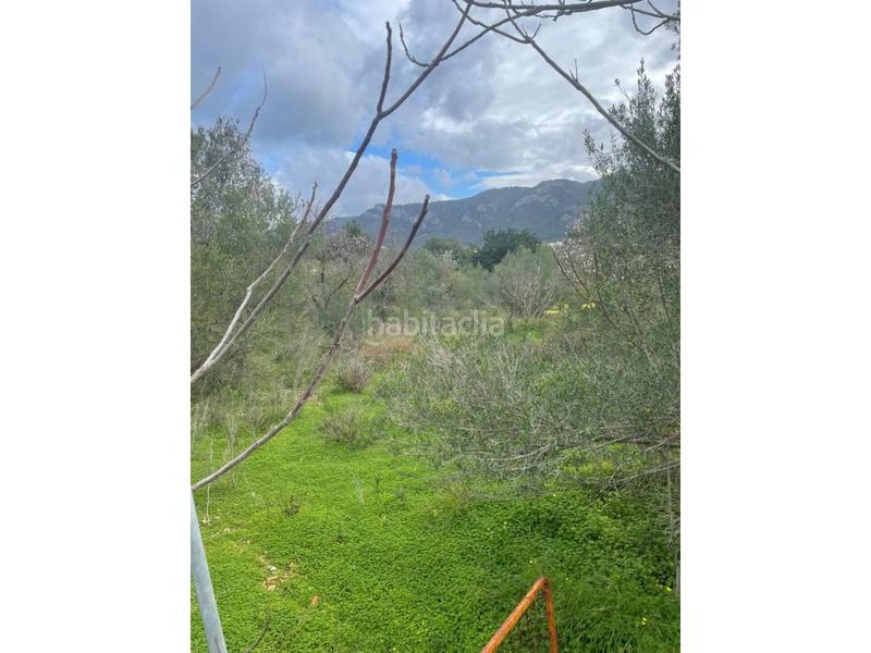 Foto 4b14c573-fa02-47fc-ac34-7cb1c329952b. Terreno residencial solar rustico en Andratx Andratx