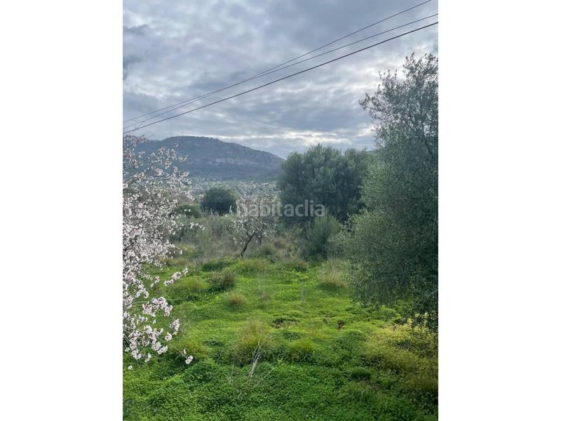 Foto 5a5a45a8-fc76-4816-a855-38c33fd4caec. Terreno residencial solar rustico en Andratx Andratx