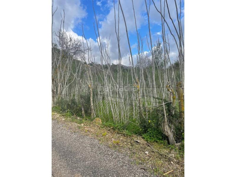 Foto 8b499bd4-ee5c-47e7-ad62-2c40b1141157. Terreno residencial solar rustico en Andratx Andratx