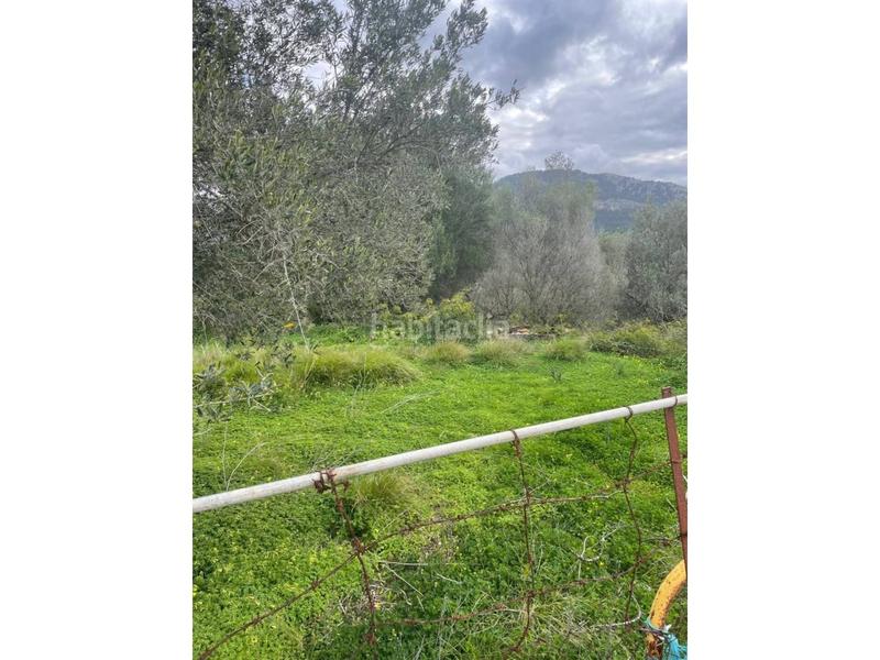Foto d4b3e824-9a26-40b8-84f1-5d2469ffda41. Terreno residencial solar rustico en Andratx Andratx