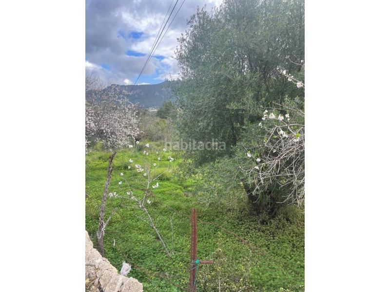 Foto df290009-76cf-496f-8e65-20ddf4fd6271. Terreno residencial solar rustico en Andratx Andratx