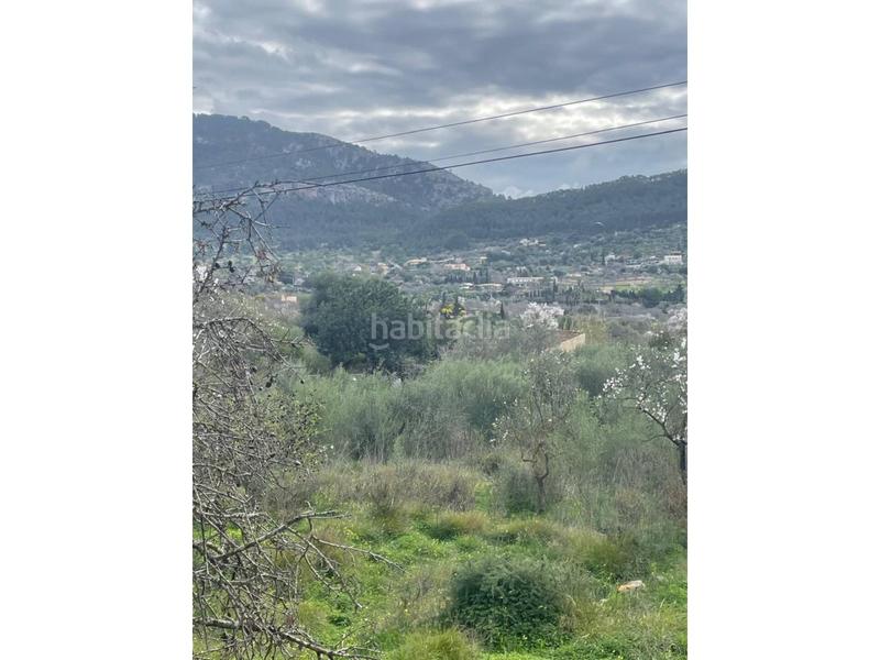 Foto e0c49ecc-84d4-4a22-a5ad-416fe1481bbd. Terreno residencial solar rustico en Andratx Andratx