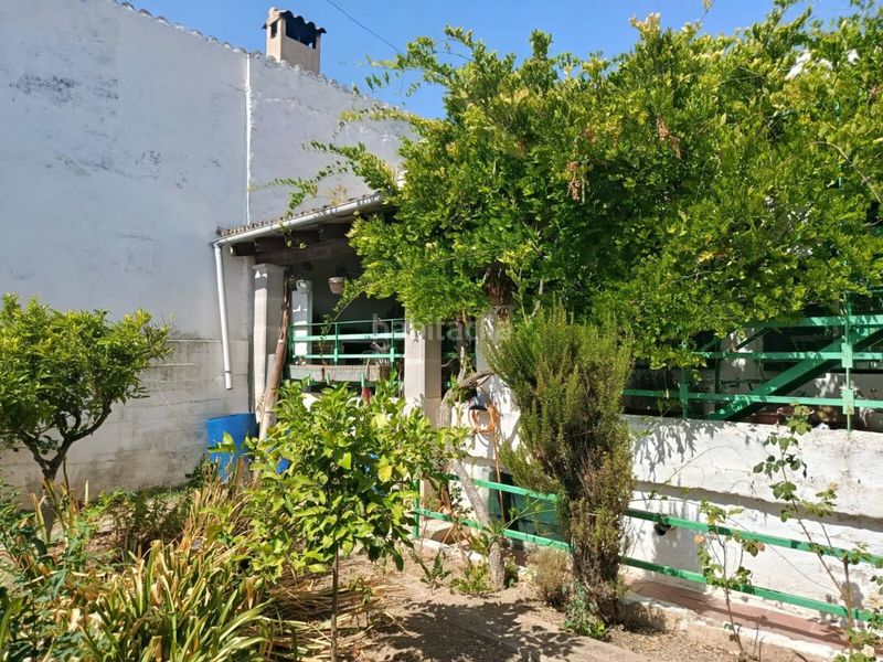 Foto 59cf1037-e178-49c8-8381-a8ac5756b97c. Casa amb calefacció aparcament a Son Serra-Sa Vileta Palma de Mallorca