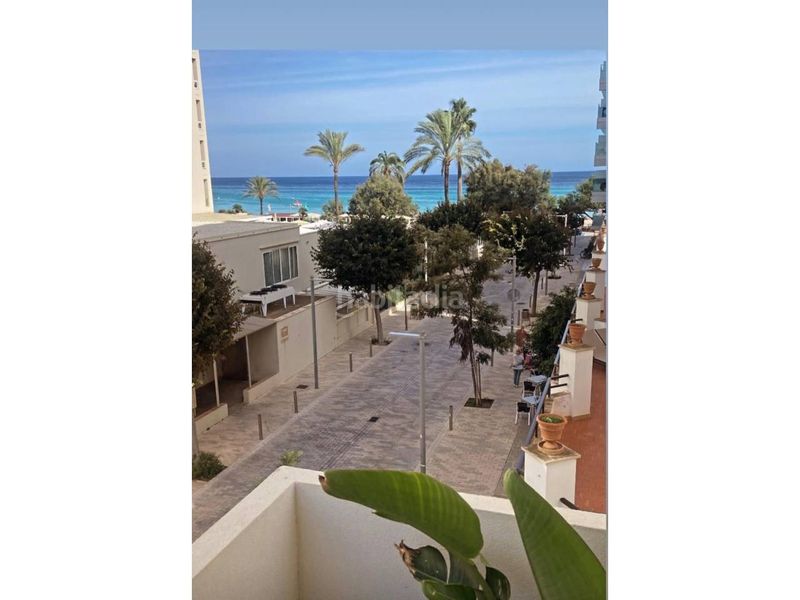 Foto d4b89223-665e-4ae9-a8f1-54e6fc05e5b7. Appartement in calle vinya del mar 7 in Cala Millor Son Servera
