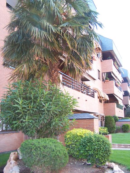 Foto dabd85fb-9f21-4d68-8d4c-ea55dba6862b. Lloguer pis amb calefacció piscina a Avenida Europa Pozuelo de Alarcón