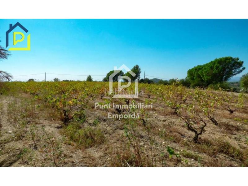 Foto d6c65eef-367b-47b7-9431-78e4c24f89cf. Casa con riscaldamento parcheggio piscina in Sant Climent Sescebes